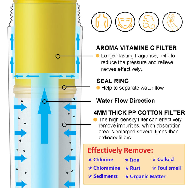 Miniwell Aroma Vitamin C Filtered Shower Head With Hose L751-W